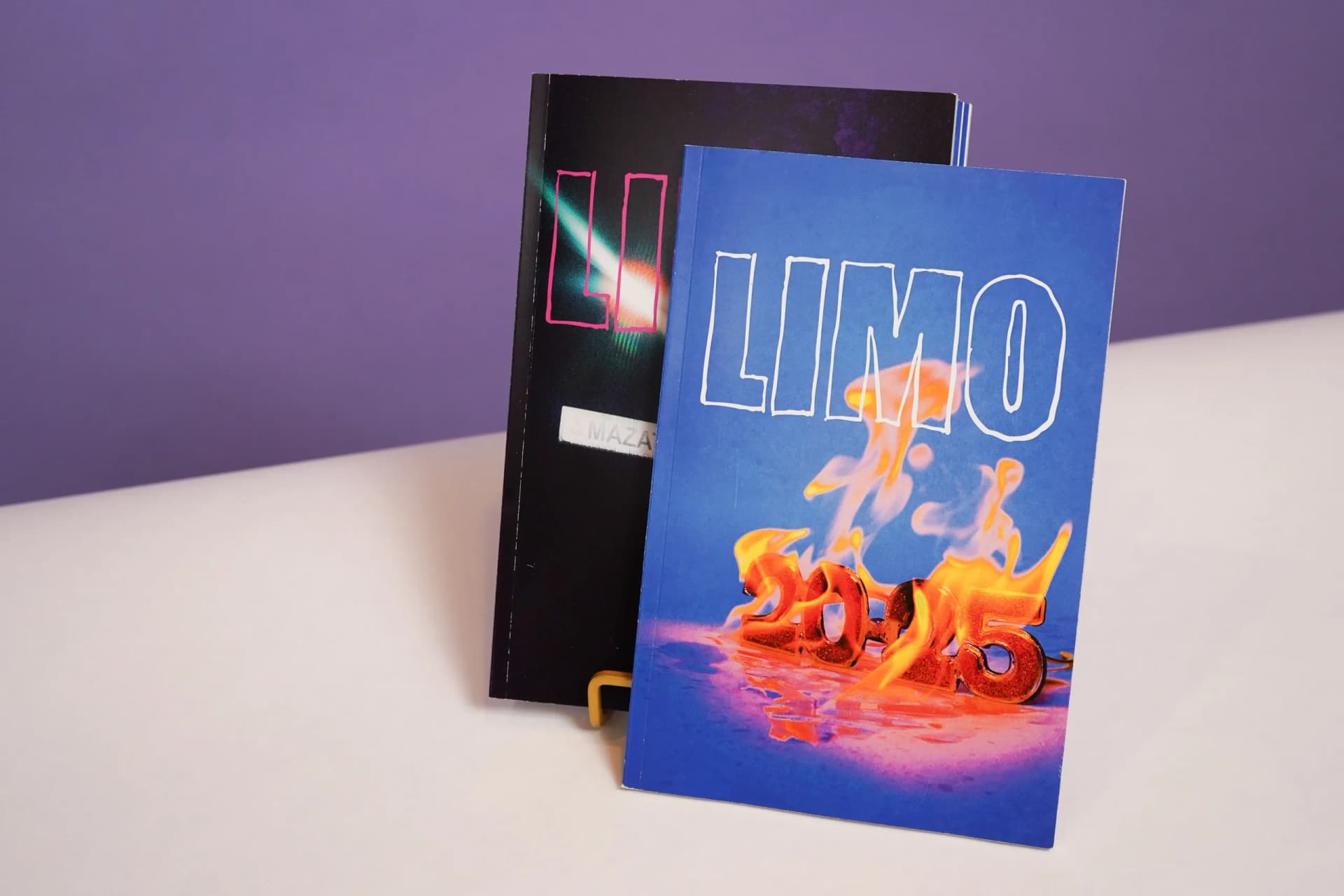 two zines are standing on a table .