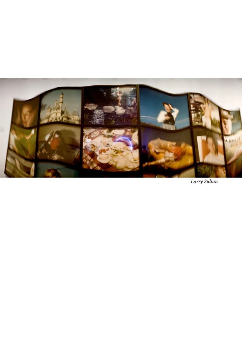 a collage of pictures on a wall by larry saltan